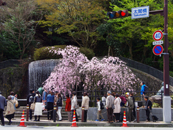 20150412_taikozo2.jpg