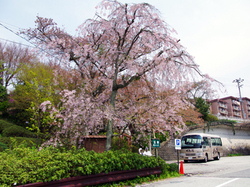 20150416_taikoyu1.jpg