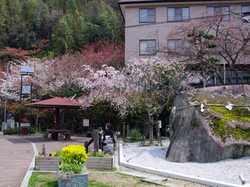 20150416_tamoto2.jpg