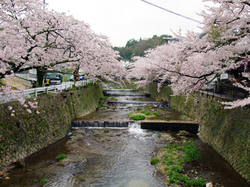 20150407_tougedo2.jpg