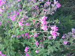 20100923.jpg