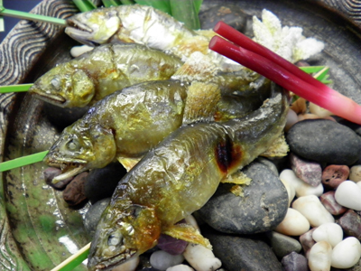 焼物一例　～夏を感じる旬の味覚・鮎の炭火焼～