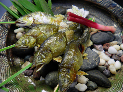 焼物一例　～初夏の香り・若鮎炭火焼～