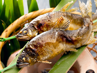 焼物一例 ～爽やかな渓流の香り・若鮎炭火焼～