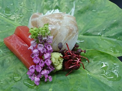 ～お造里～鮮度が美味しさの決め手☆鱸(すずき)の洗い☆