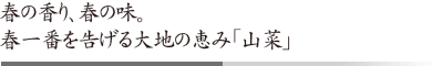 春の香り、春の味。 春一番を告げる大地の恵み「山菜」