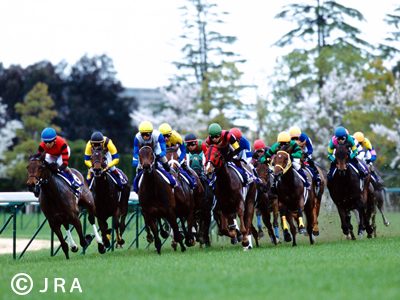 再び実現！ＪＲＡ阪神競馬場『招待席』フェア