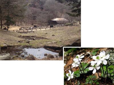 植物園で一足お先に春探し・・♪