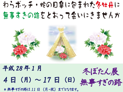 相楽園冬ぼたん展　1/4 ～ 1/17