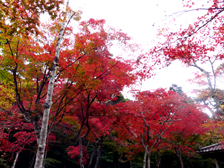 瑞宝寺公園