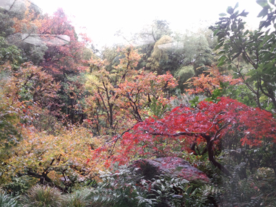 欽山のロビーから楽しむ紅葉！