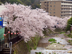 20150407_taikohashi.jpg