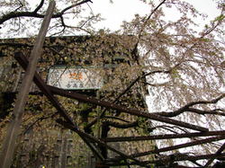 20150407_yoshitakaya1.jpg