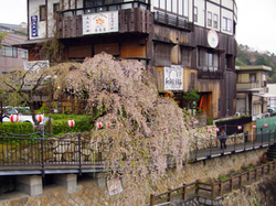 20150407_yoshitakaya2.jpg