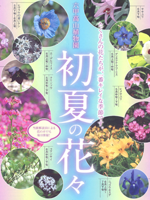 六甲山で初夏の花を楽しもう！期間限定「六甲山花めぐりチケット」