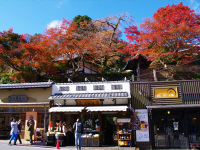 有馬温泉紅葉便り 2015.11.27