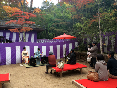 瑞宝寺公園もみじ茶会に行ってきました！