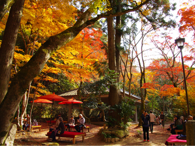 有馬温泉紅葉便り 2016年11月17日