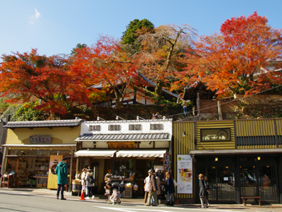 有馬温泉紅葉便り 2016年11月24日