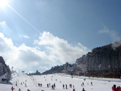  神戸市内でスキーができるんです！～六甲山スノーパーク～