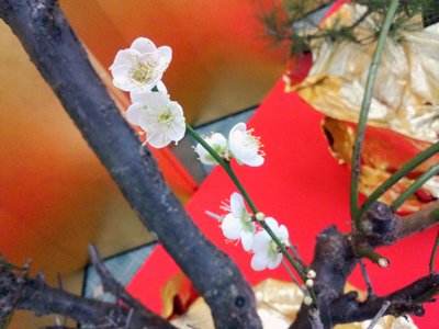 新春に、百花にさきがけ梅ひらく