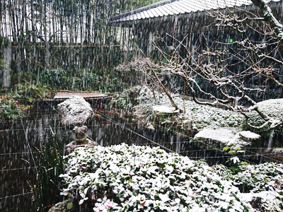 有馬温泉が雪化粧！！銀世界が広がりました★