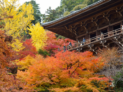 ミシュラングリーンガイド第11弾！　～紅葉彩る書写山圓教寺～