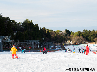 有馬温泉から近くて便利！「雪」を楽しむならココ！