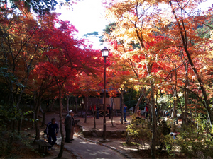 20101109公園.jpg