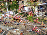 20110403掲載用3.jpg