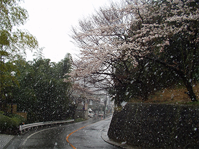 雪降る有馬