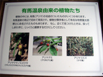 20070619-1.jpg