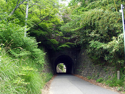 散策を終えた帰り道