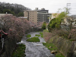 20100402-1.jpg