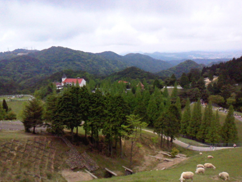 自然と動物とのふれあいを六甲山牧場で！