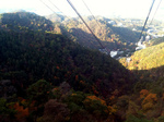 20111124-2.jpg