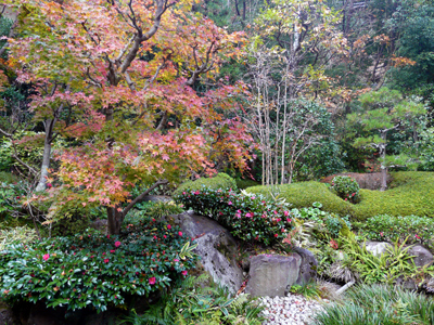 欽山のお庭から楽しむ紅葉