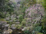 20120401-4.jpg