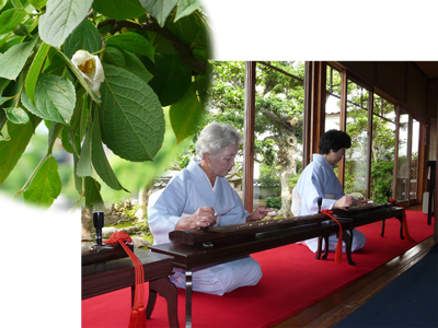 今年は平家に思いを馳せて･･･沙羅の花と一絃琴の鑑賞会