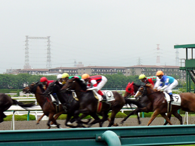 【JRA阪神競馬場×欽山】土曜は「招待席」で競馬観戦