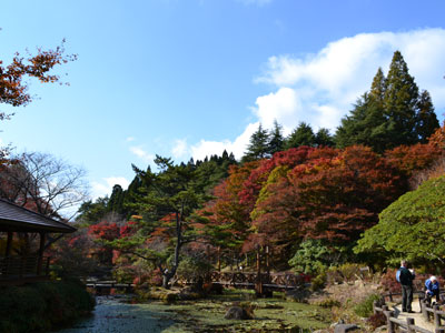 秋風吹きわたる爽やかな六甲山で、秋を満喫！