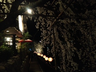 2013 有馬温泉桜便り（４）　～夜桜を楽しむ♪～