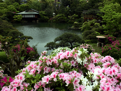 都会の中の癒しの庭園・相楽園で