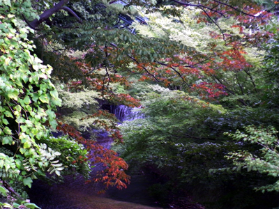 有馬温泉紅葉便り 2013 10/26号